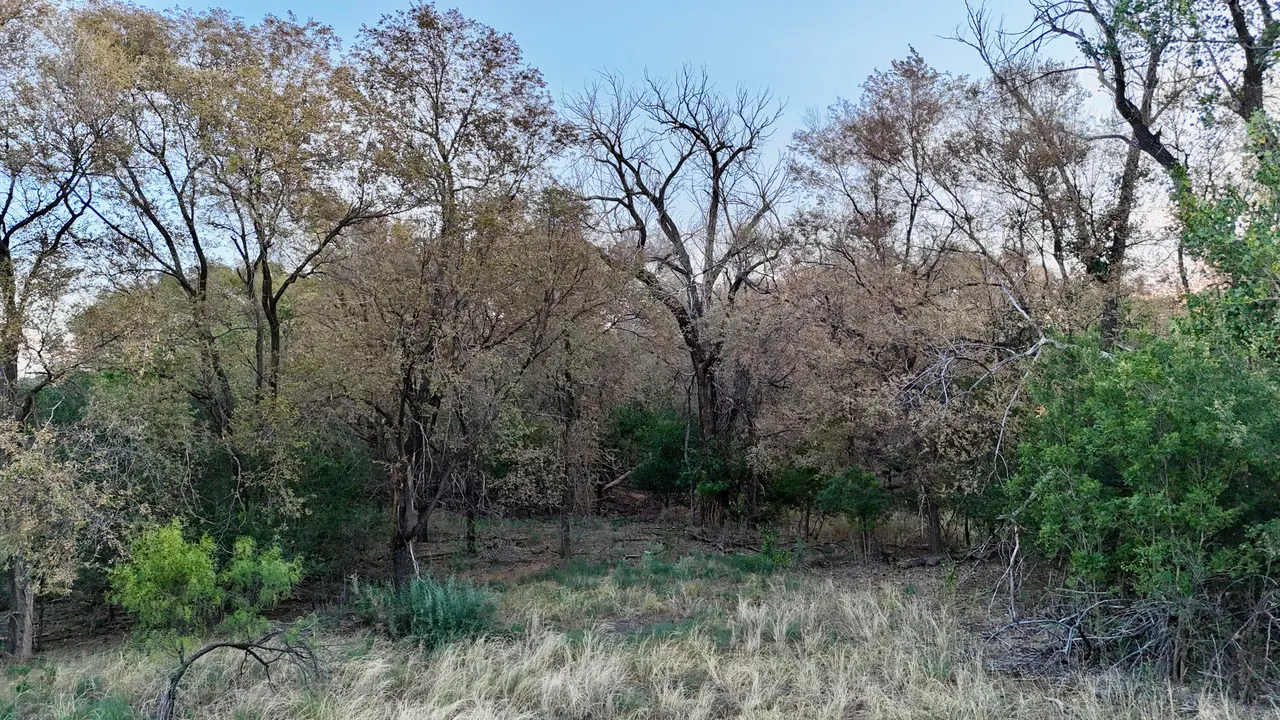 Photo 9 — 145 County Road 7, Turkey, TX 79261