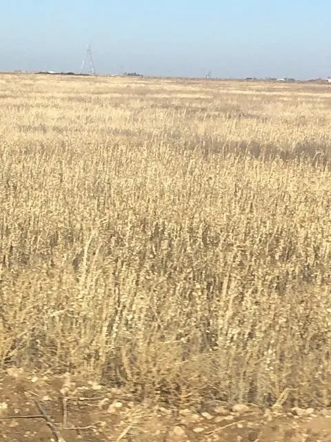 Photo 4 — County Road 5700 County Road 5700, New Deal, TX 79350