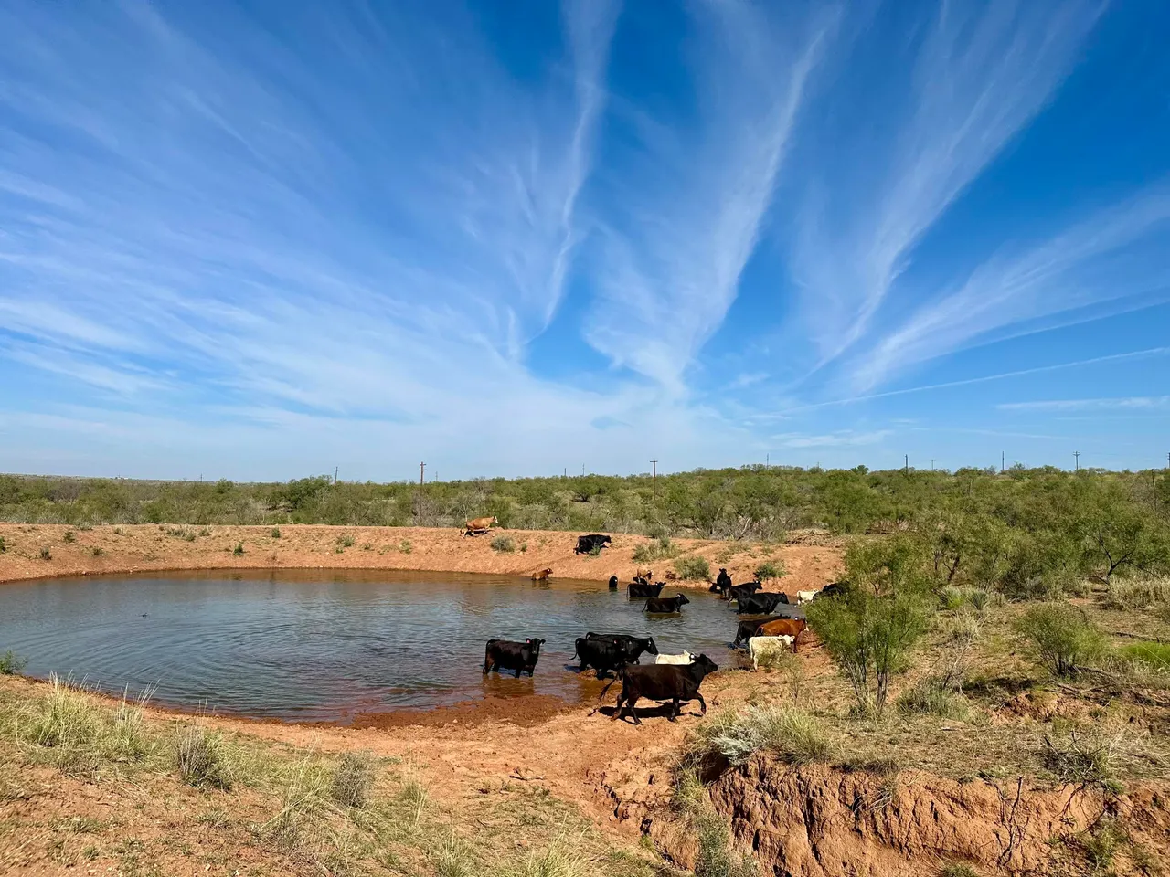 Photo 26 — 261 FM 261, Spur, TX 79370