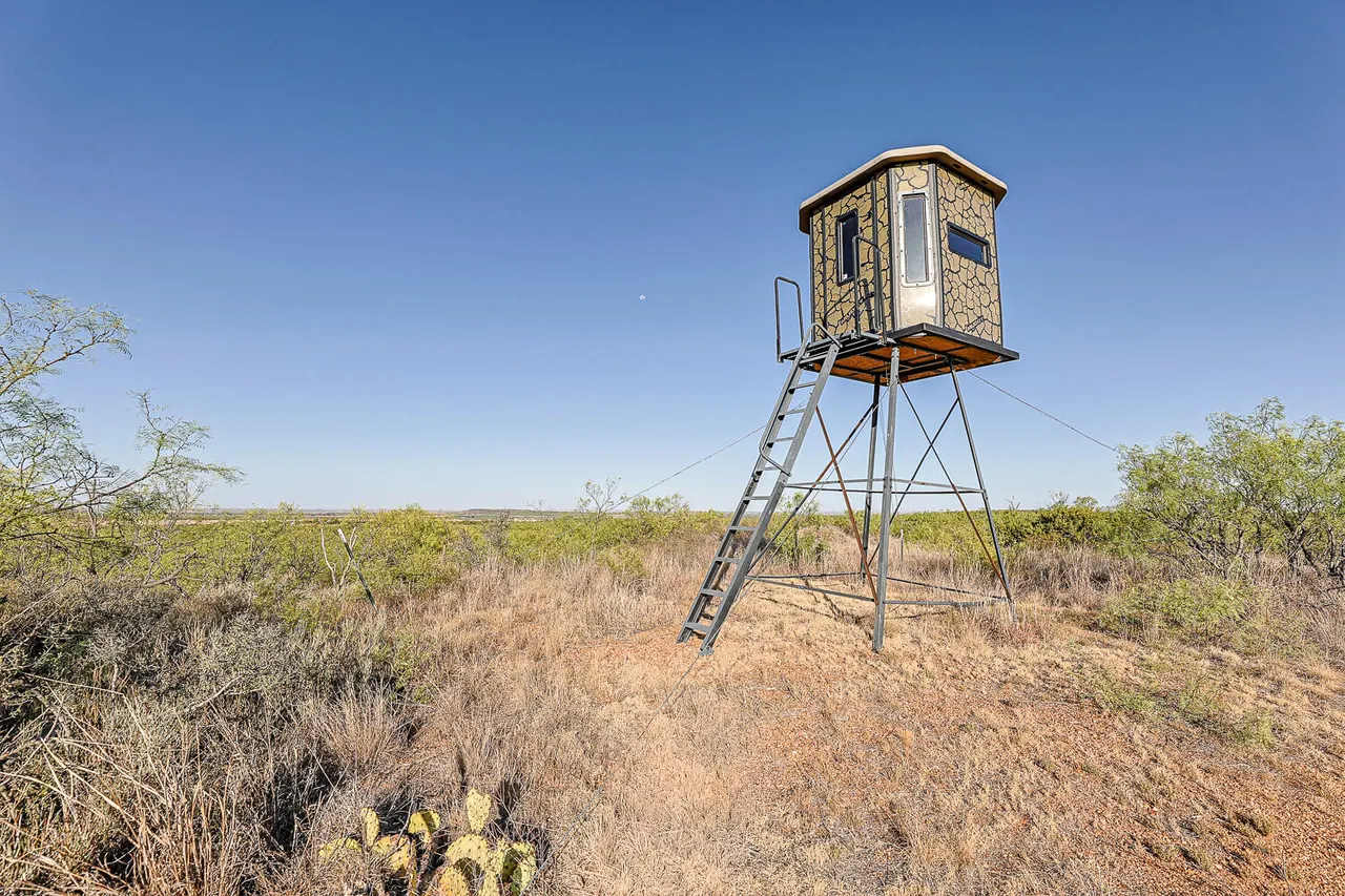Photo 32 — 1296 Co Rd 368, Spur, TX 79370