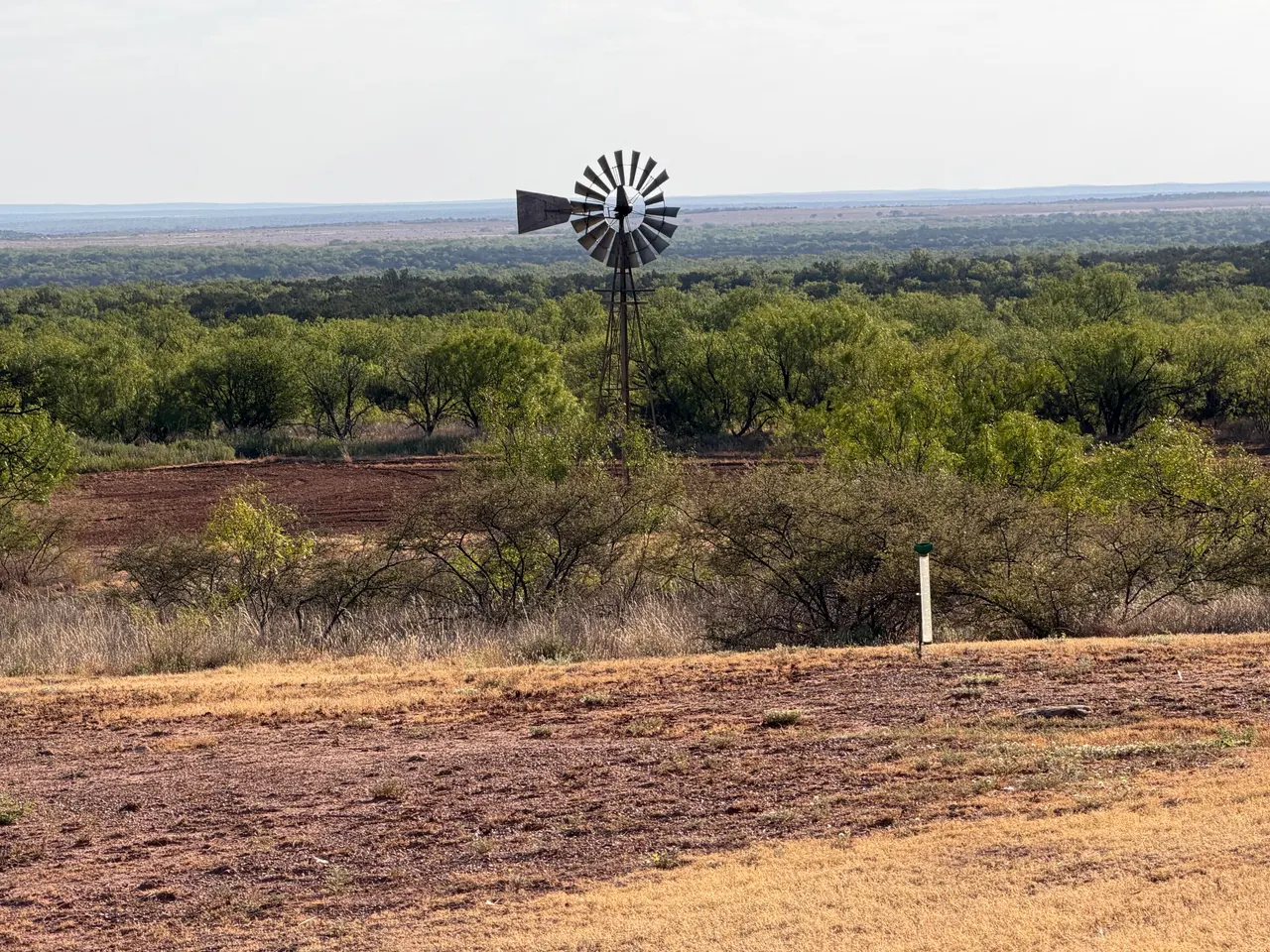 Photo 34 — 1296 Co Rd 368, Spur, TX 79370