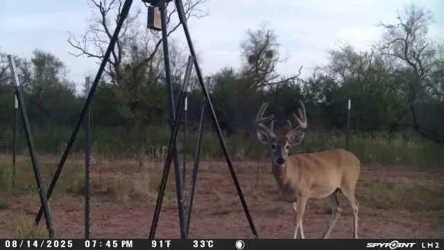 Photo 36 — 1296 Co Rd 368, Spur, TX 79370