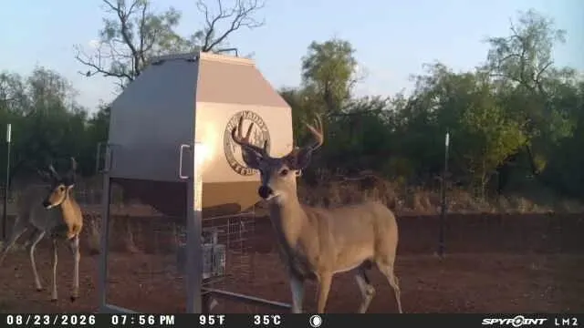 Photo 37 — 1296 Co Rd 368, Spur, TX 79370