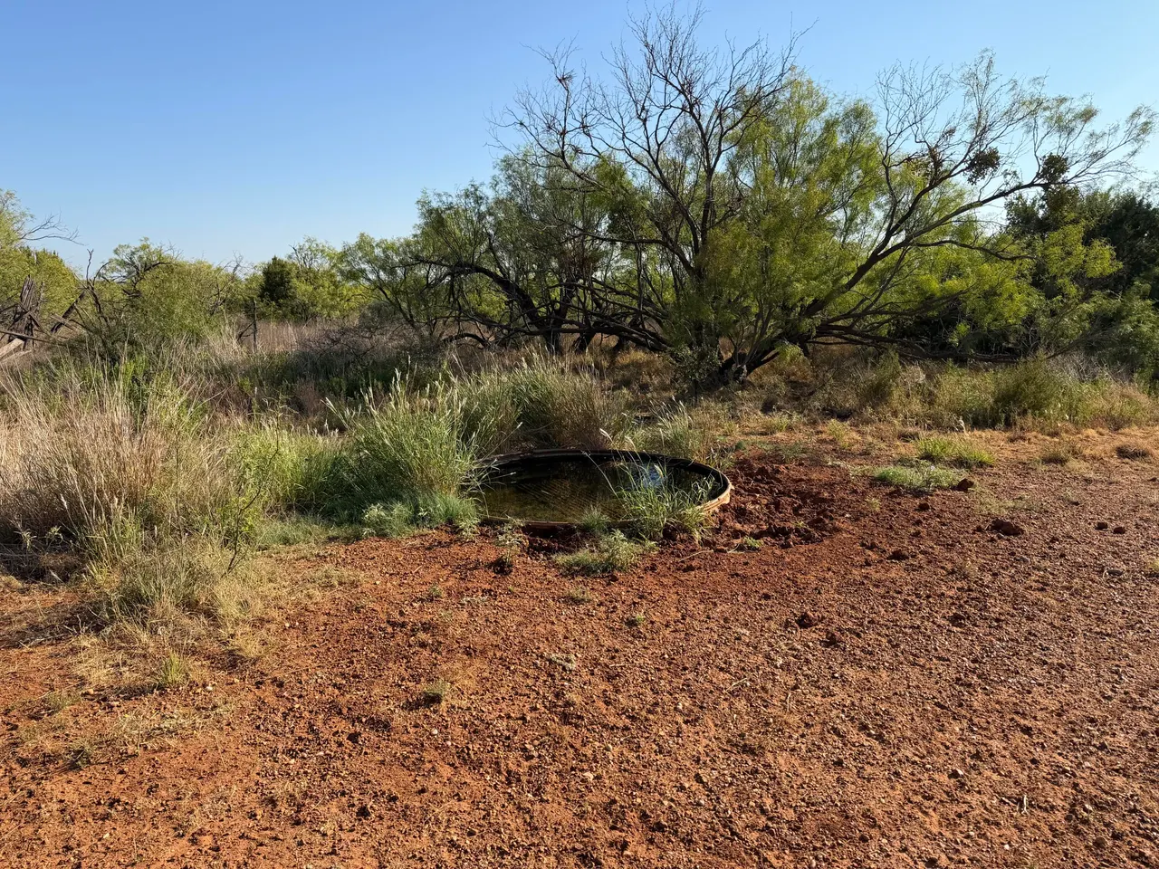 Photo 41 — 1296 Co Rd 368, Spur, TX 79370