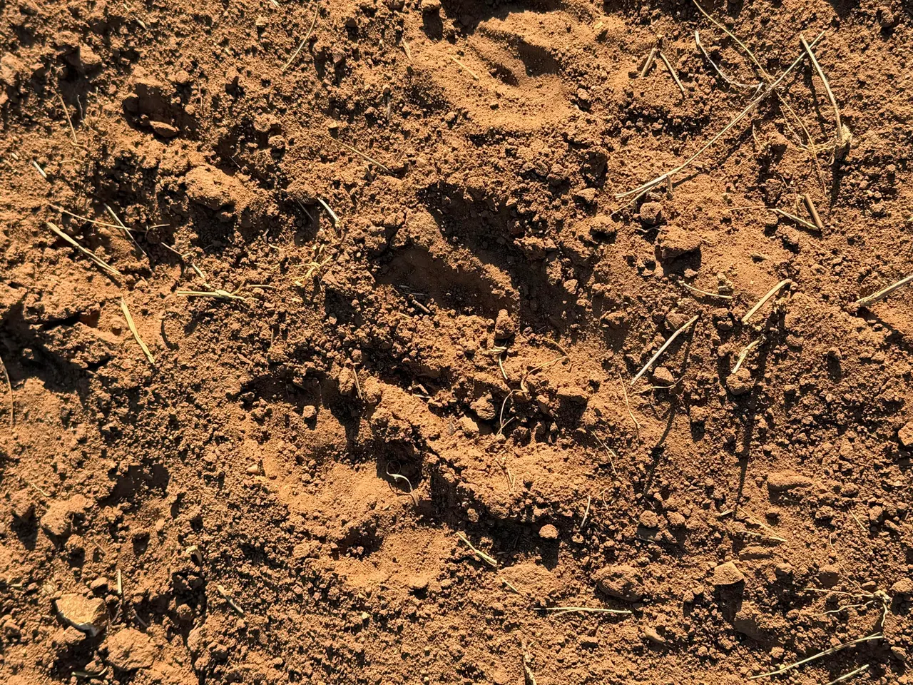 Photo 42 — 1296 Co Rd 368, Spur, TX 79370