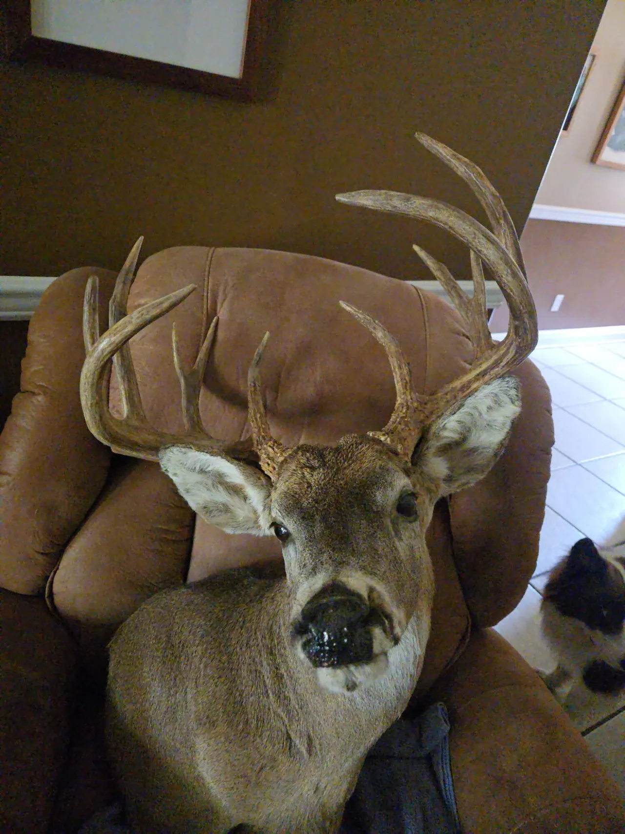 Photo 44 — 1296 Co Rd 368, Spur, TX 79370