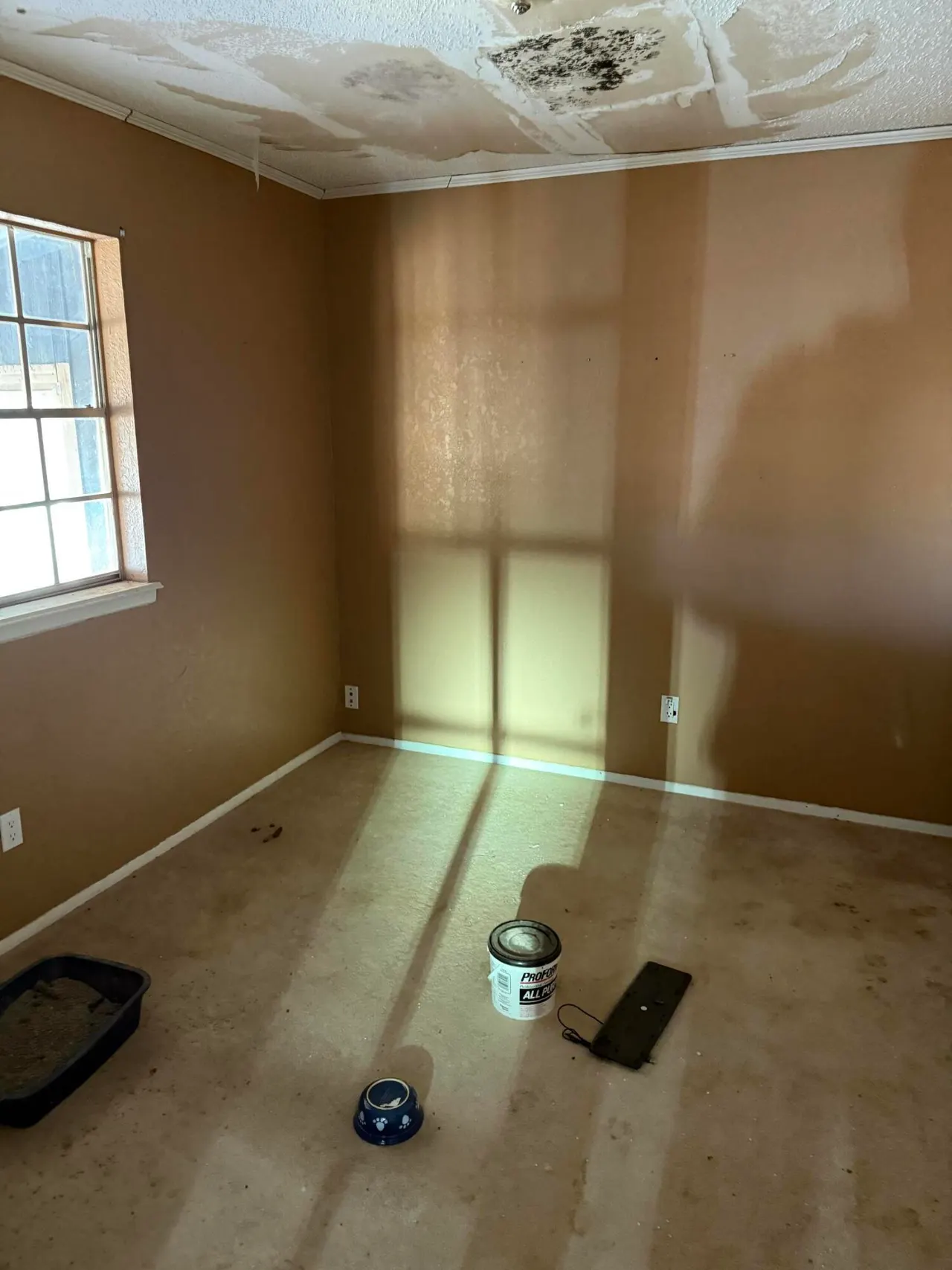 Photo 9 — 113 Madison Avenue, Lorenzo, TX 79343