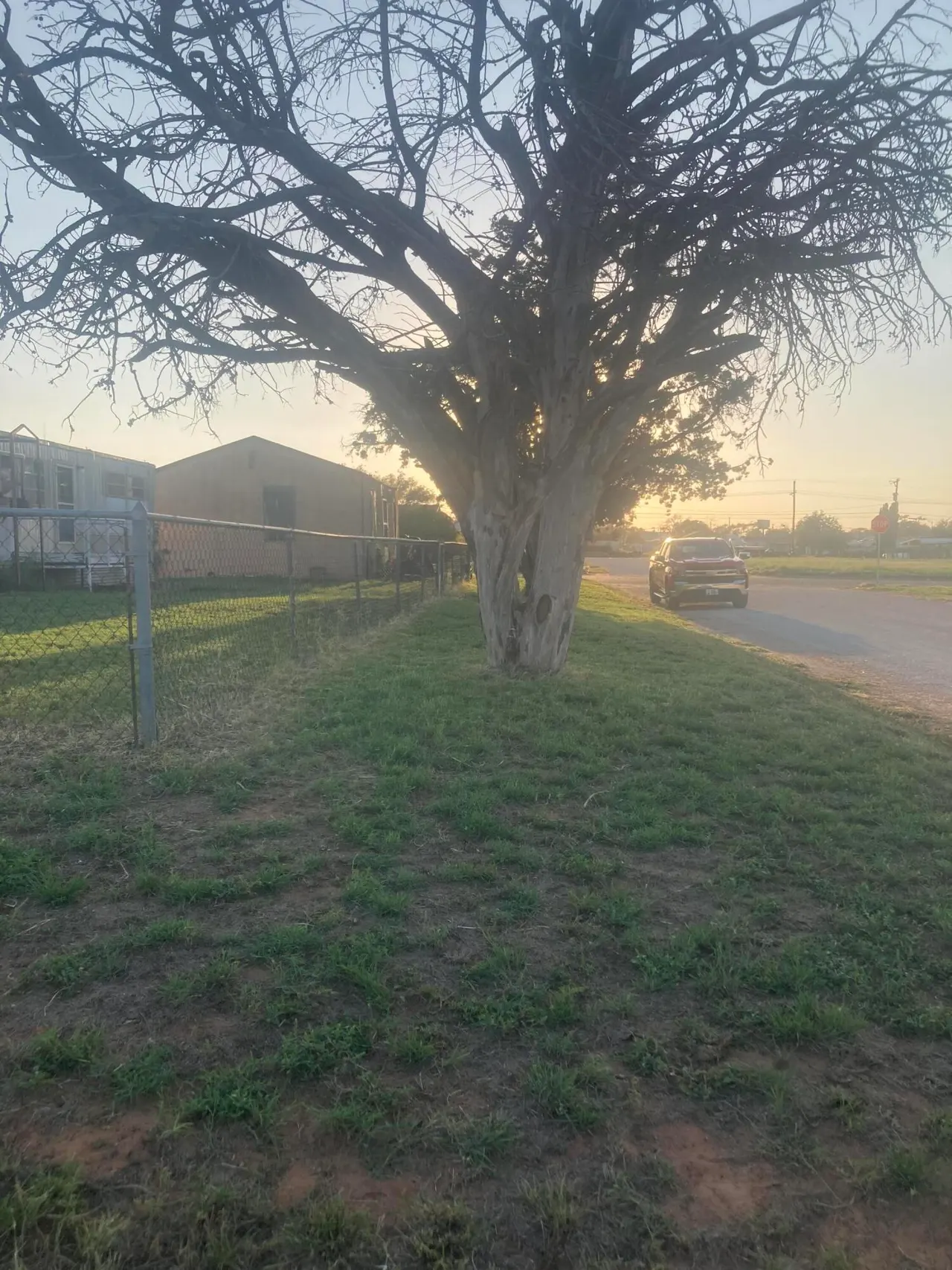 Photo 7 — 1202 S 3rd Street, Brownfield, TX 79316