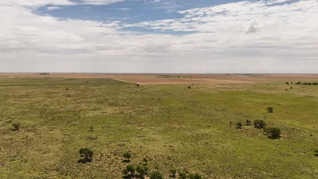 Photo 2 — Tract 4 Cr 525, Brownfield, TX 79316