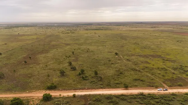 Photo 6 — Tract 4 Cr 525, Brownfield, TX 79316
