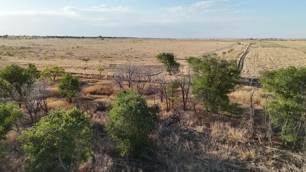 Photo 9 — C R 5400, Lubbock, TX 79415