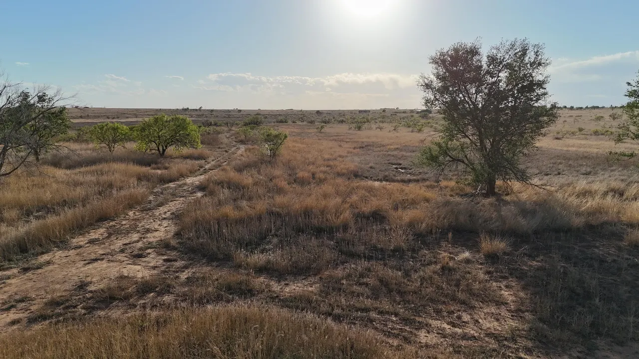 Photo 8 — C R 5400, Lubbock, TX 79415