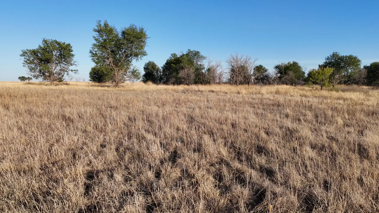 Photo 18 — C R 5400, Lubbock, TX 79415