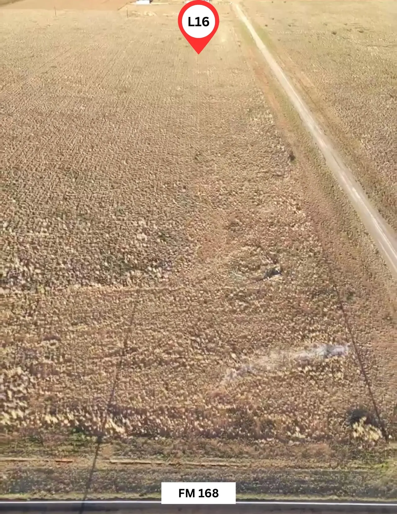 Photo 3 — 6431 Rockin T Rd, Ropesville, TX 79358