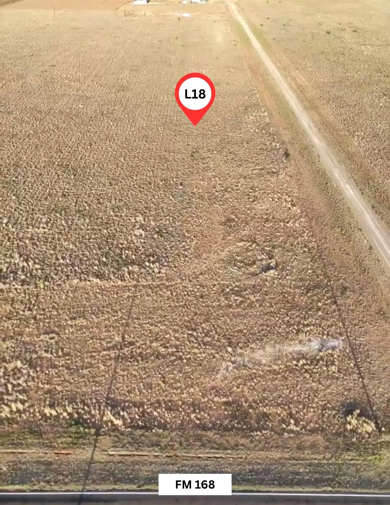 Photo 3 — 6419 Rockin T Rd, Ropesville, TX 79358