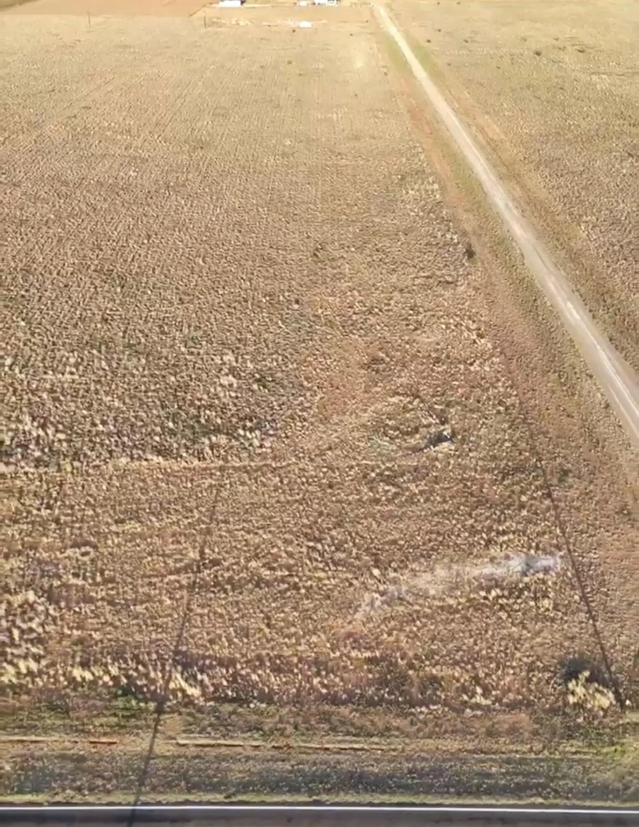 Photo 2 — 6407 Rockin T Rd, Ropesville, TX 79358