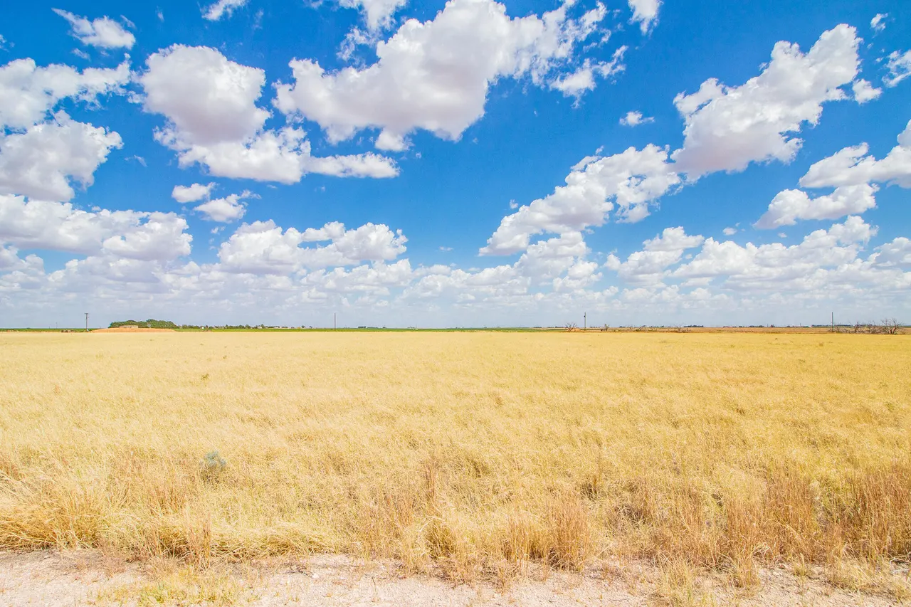 Photo 3 — 19911 Private Road 2755, Slaton, TX 79364