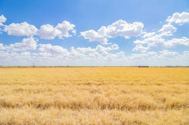 Photo 6 — 19911 Private Road 2755, Slaton, TX 79364