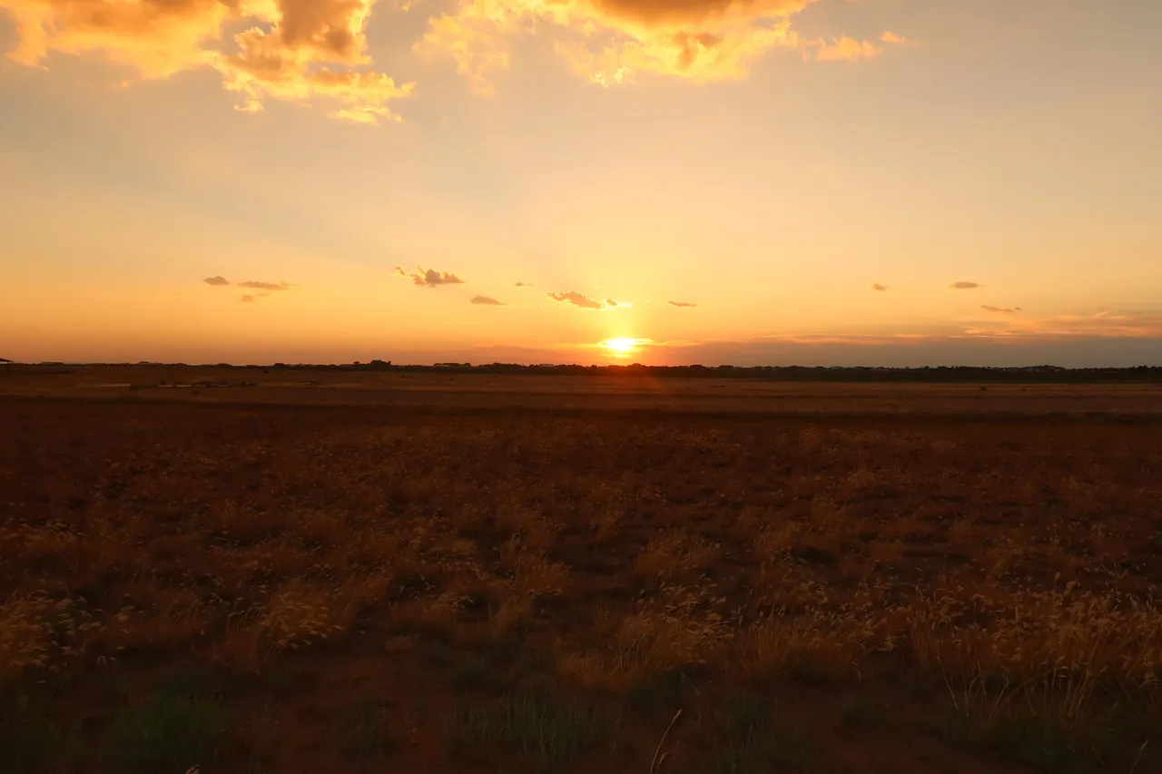 Photo 4 — 21512 Private Road 1970, Lubbock, TX 79424