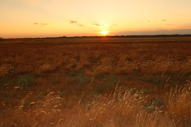 Photo 5 — 21512 Private Road 1970, Lubbock, TX 79424