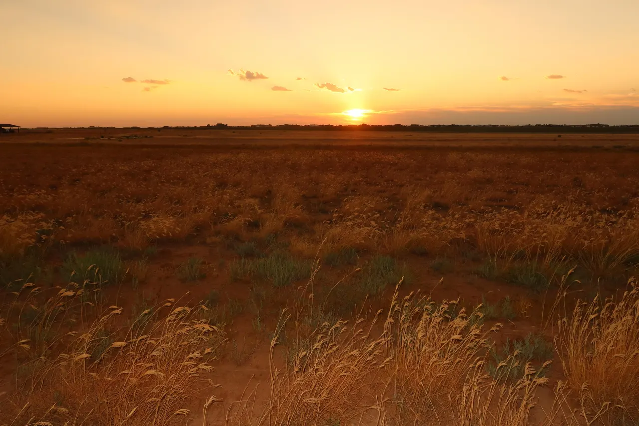 Photo 6 — 21512 Private Road 1970, Lubbock, TX 79424