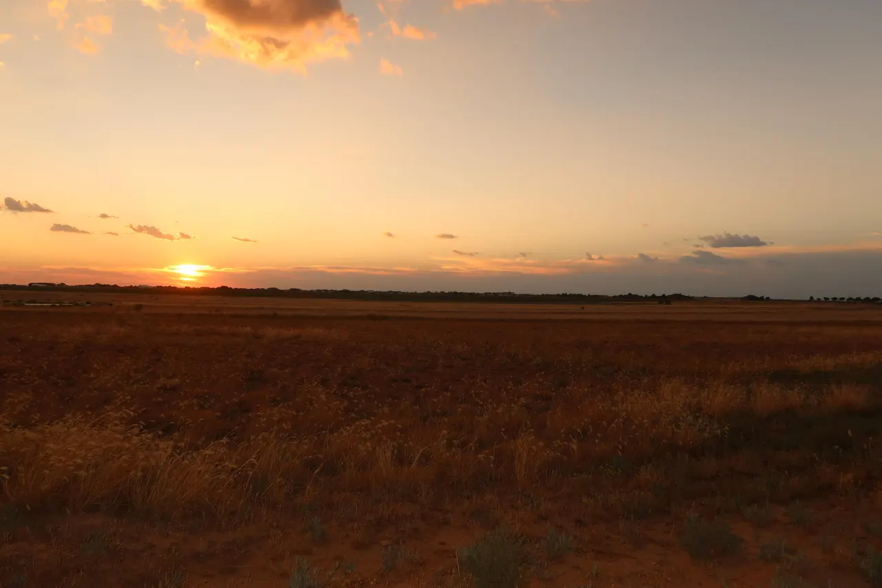Photo 7 — 21512 Private Road 1970, Lubbock, TX 79424