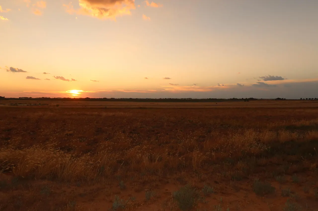 Photo 8 — 21512 Private Road 1970, Lubbock, TX 79424