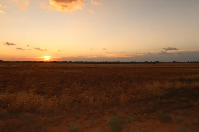 Photo 8 — 21512 Private Road 1970, Lubbock, TX 79424