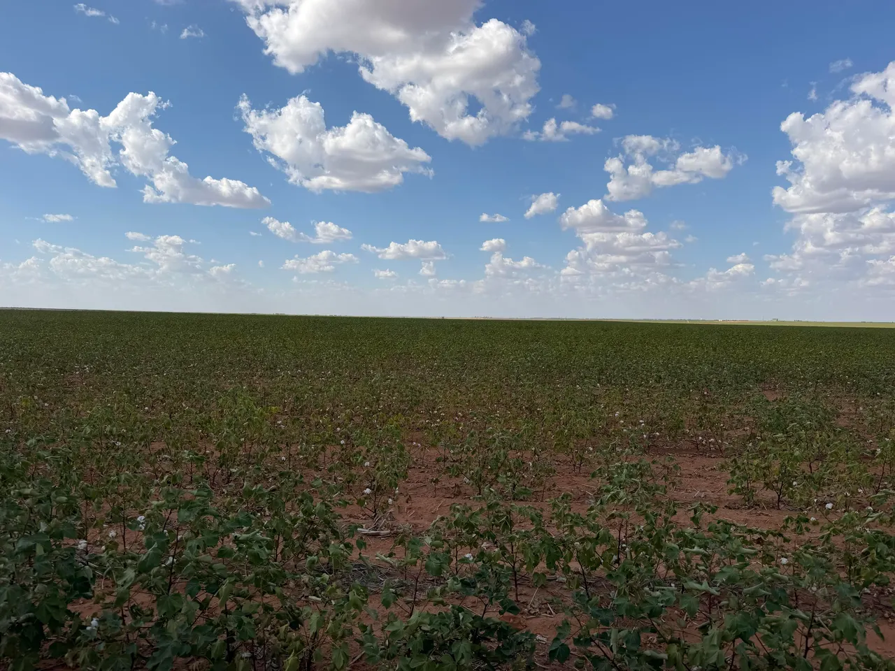 Front exterior — CR I NW Of 10 Mile, Lamesa, TX 79331