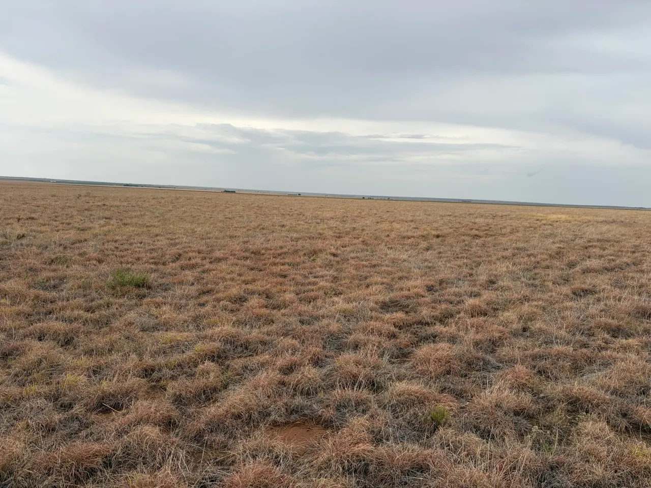 Photo 2 — Co Rd 227, Sudan, TX 79371