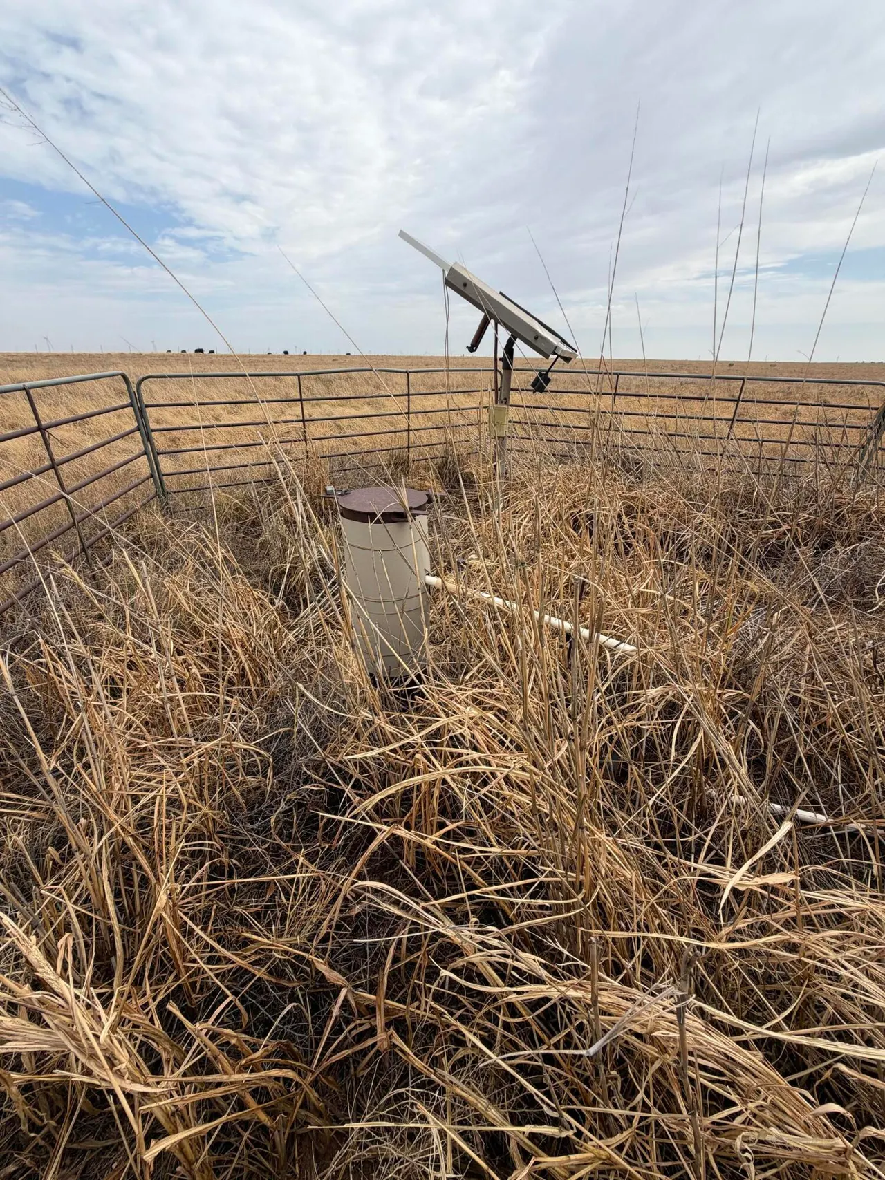 Photo 11 — Co Rd 227, Sudan, TX 79371