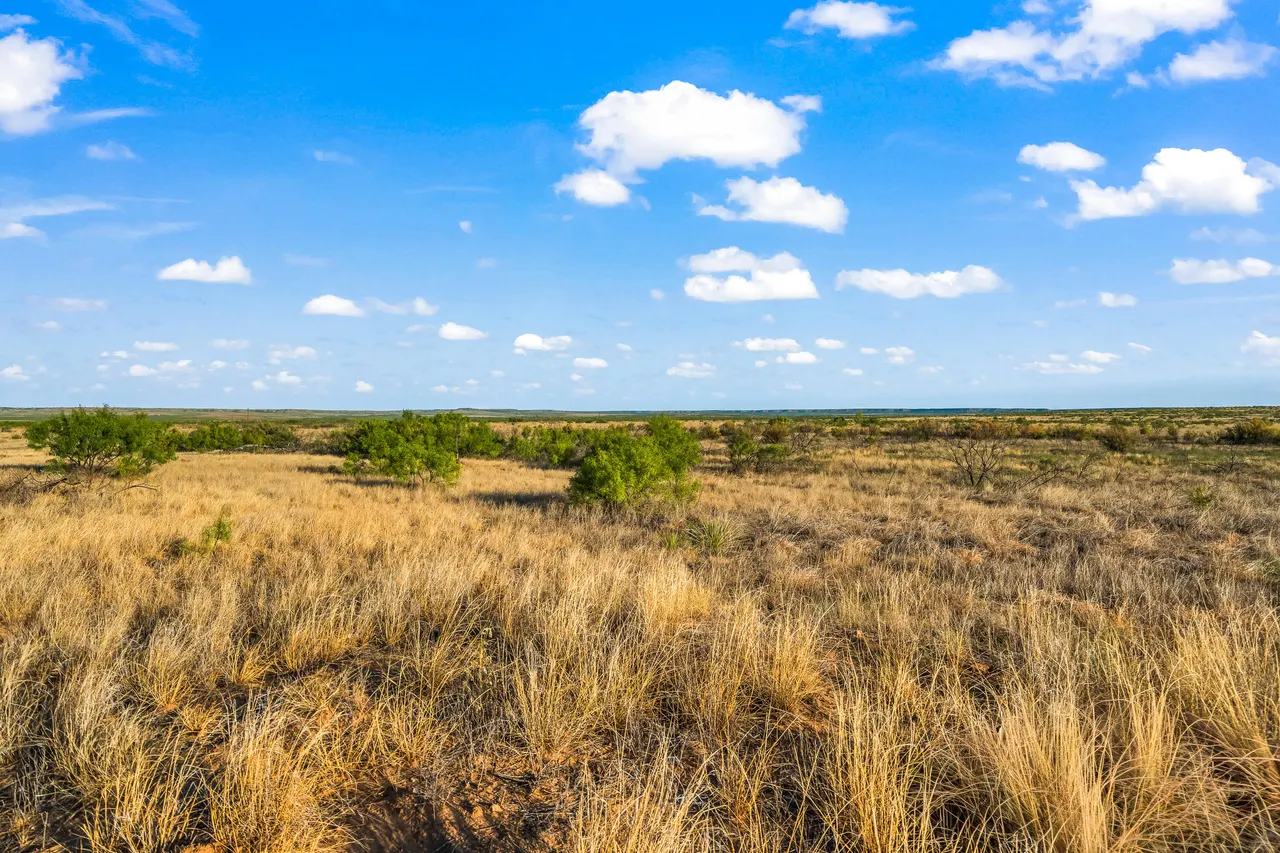 Photo 19 — 624 +/- AC in Garza & Crosby Counties, Post, TX 79356