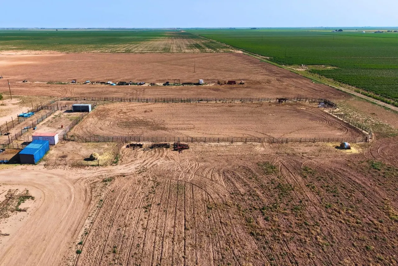 Photo 29 — 4160 Hummingbird Road, Ropesville, TX 79358