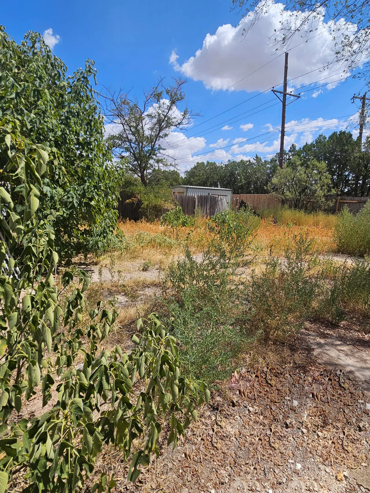 Photo 24 — 4607 Avenue D, Lubbock, TX 79404