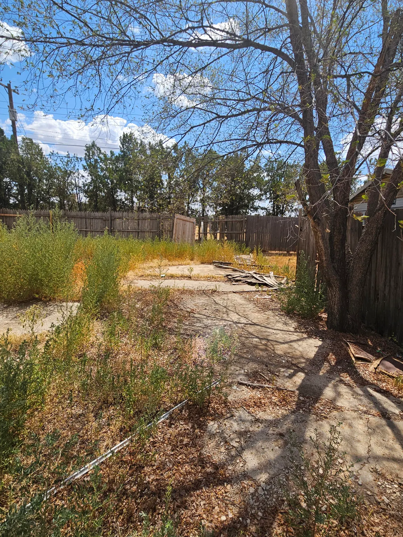 Photo 23 — 4607 Avenue D, Lubbock, TX 79404