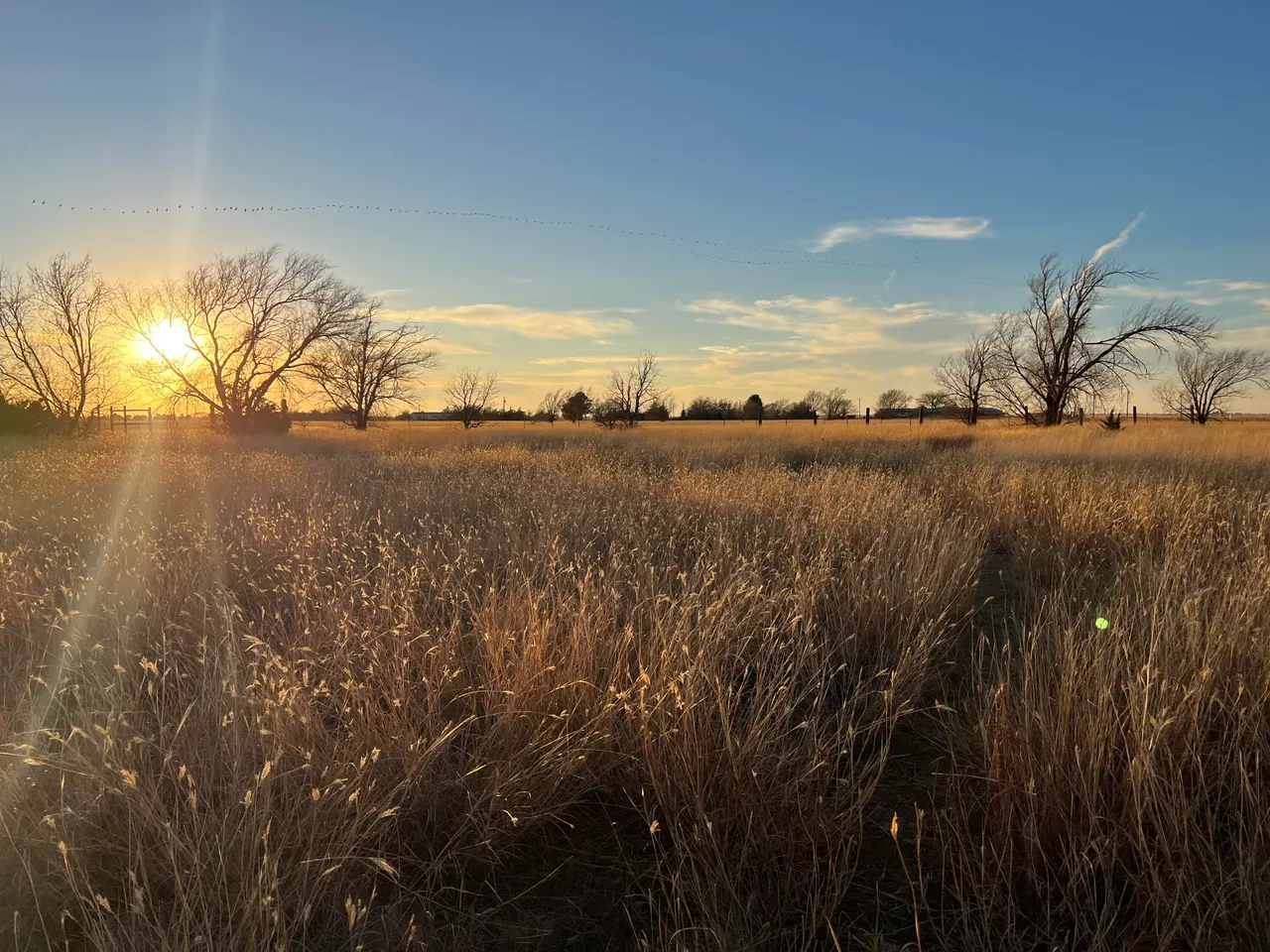 Photo 58 — 12022 N County Road 1740, Lubbock, TX 79415