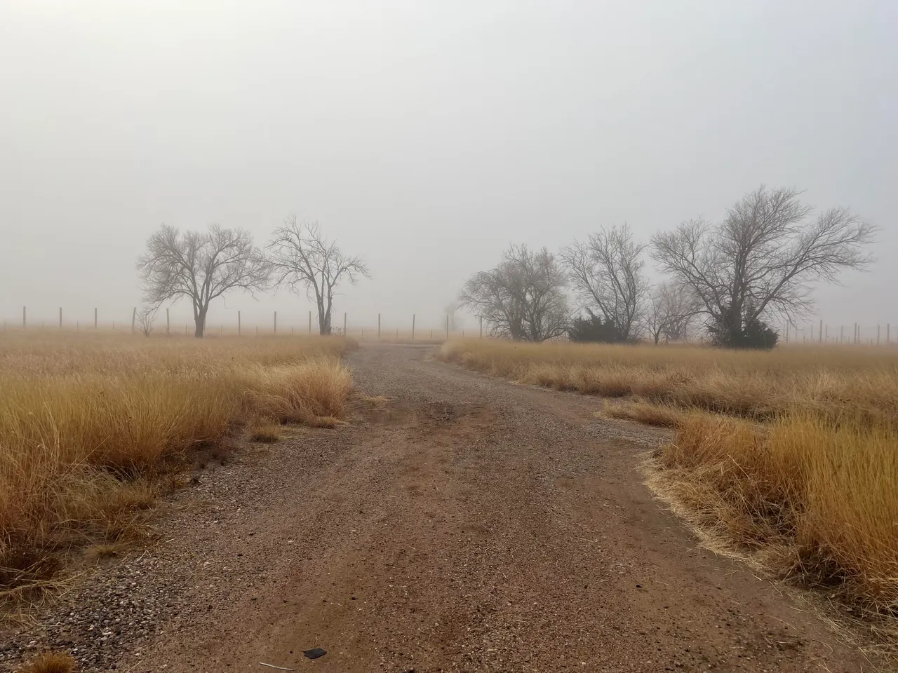 Photo 60 — 12022 N County Road 1740, Lubbock, TX 79415
