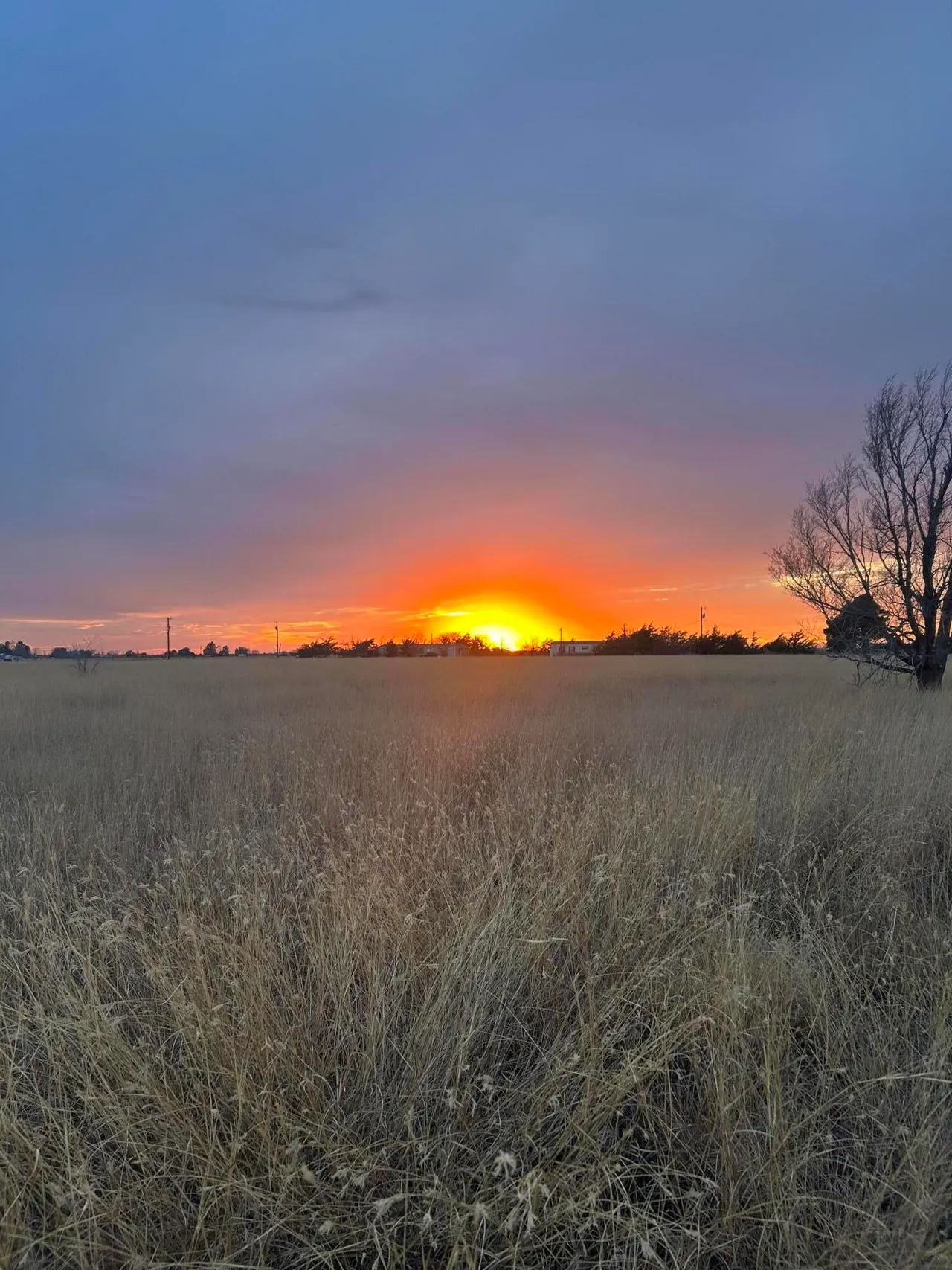 Photo 59 — 12022 N County Road 1740, Lubbock, TX 79415