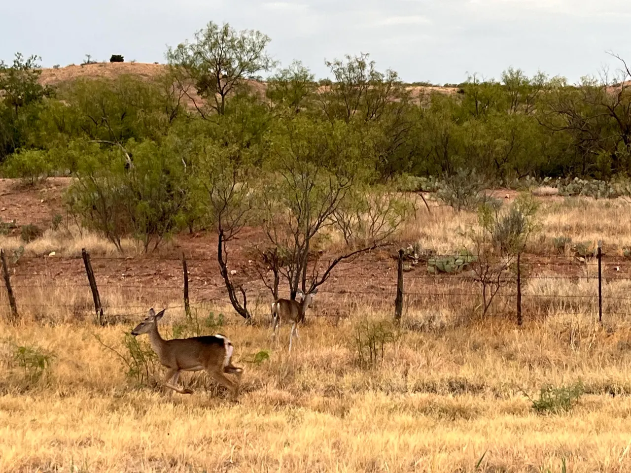 Photo 5 — 20 Lakesite Road, Spur, TX 79370