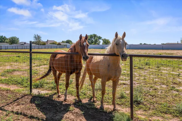 Photo 2 — 12010 F M 179, Wolfforth, TX 79382