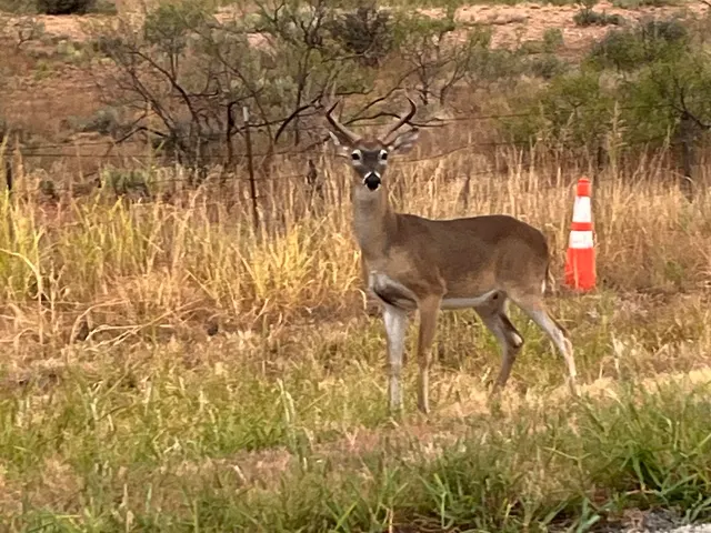 Photo 4 — 23 Lakesite Road, Spur, TX 79370