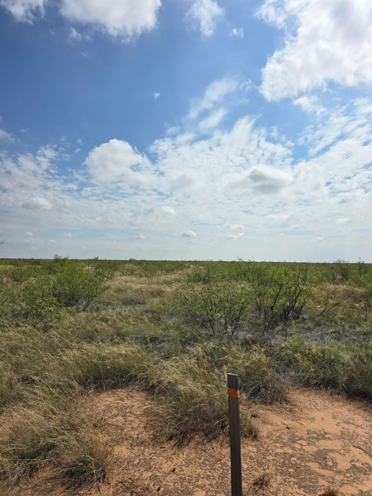 Photo 4 — Nolley Lane, Andrews, TX 79714