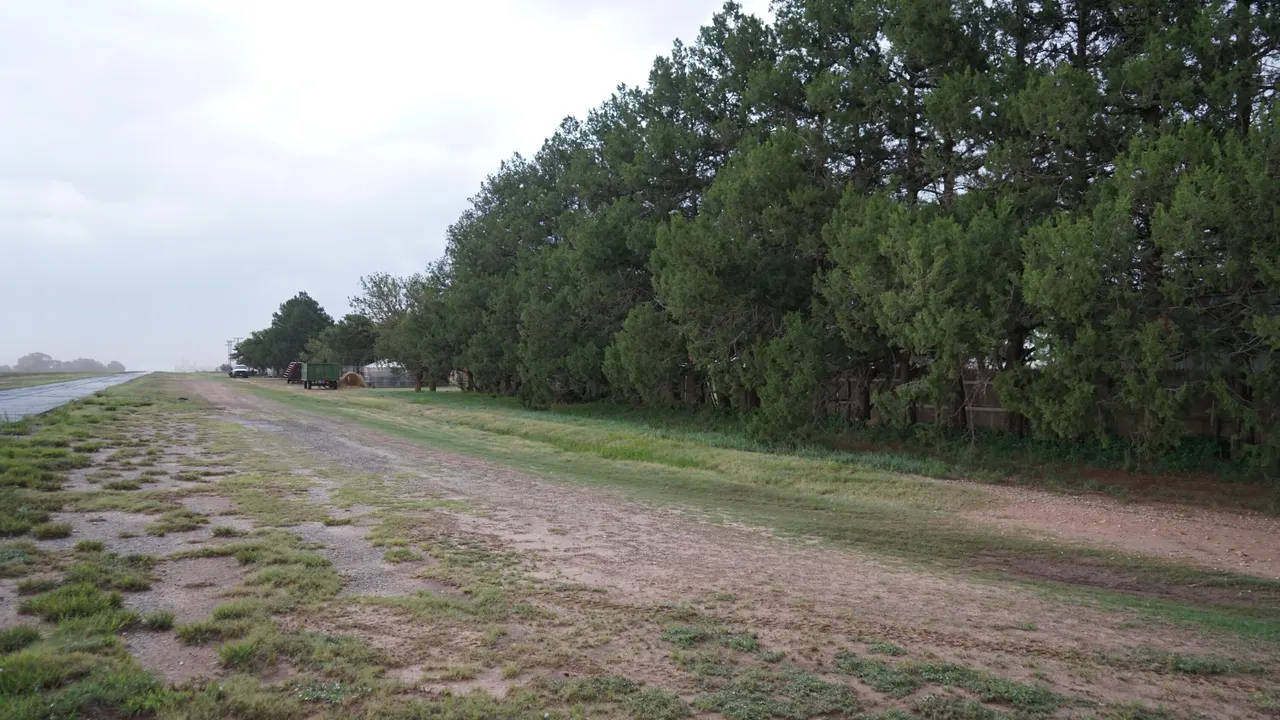 Photo 31 — 1703 US-70, Springlake, TX 79082