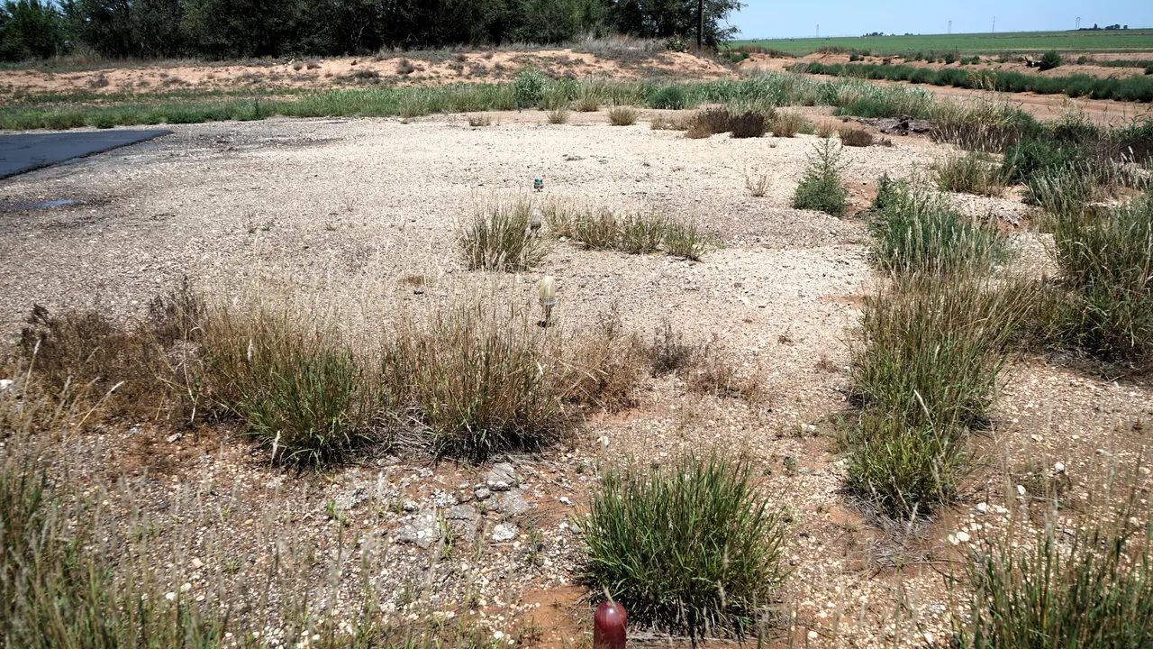 Photo 49 — 1703 US-70, Springlake, TX 79082
