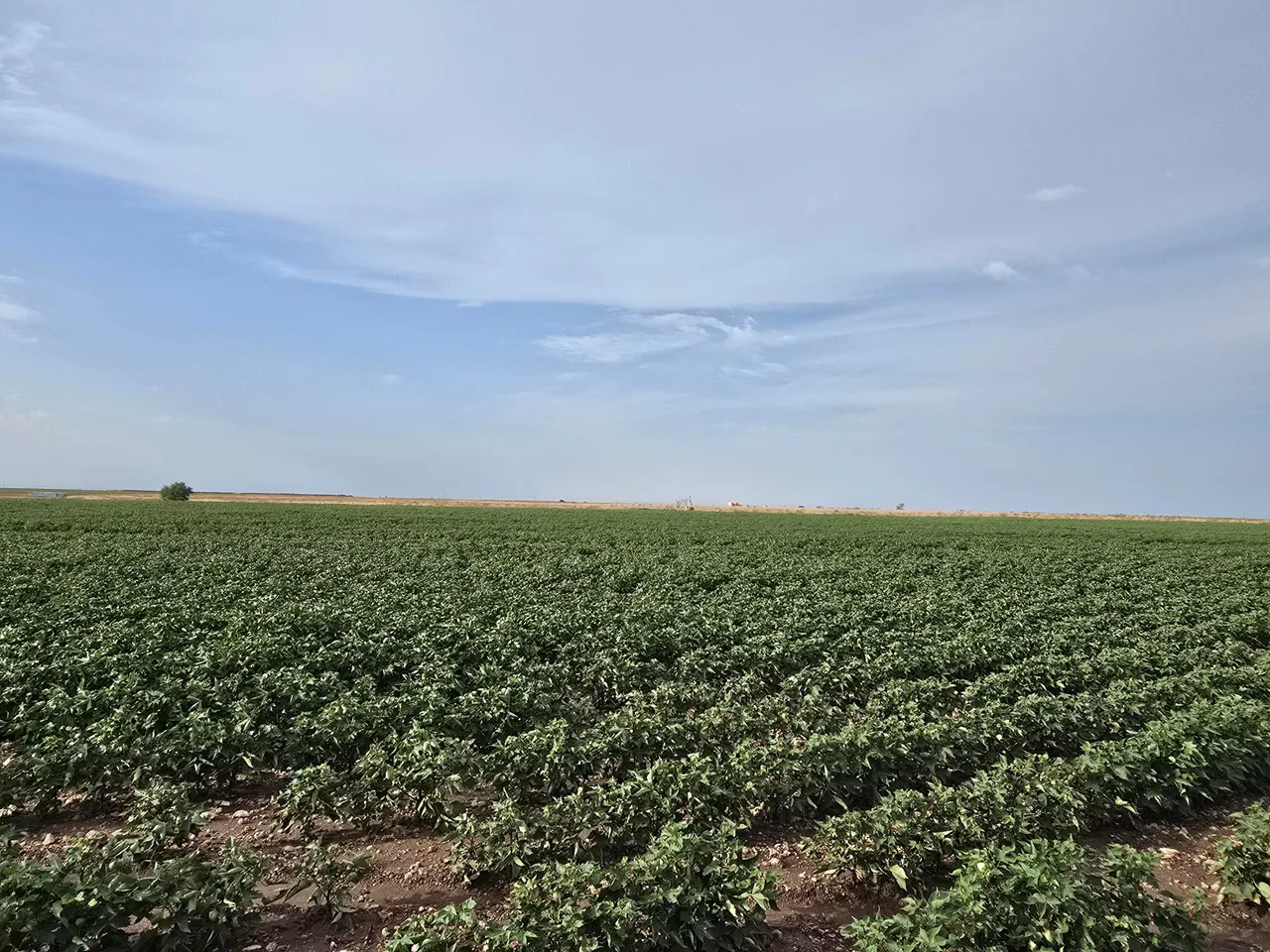 Front exterior — County Road 218, Seminole, TX 79360