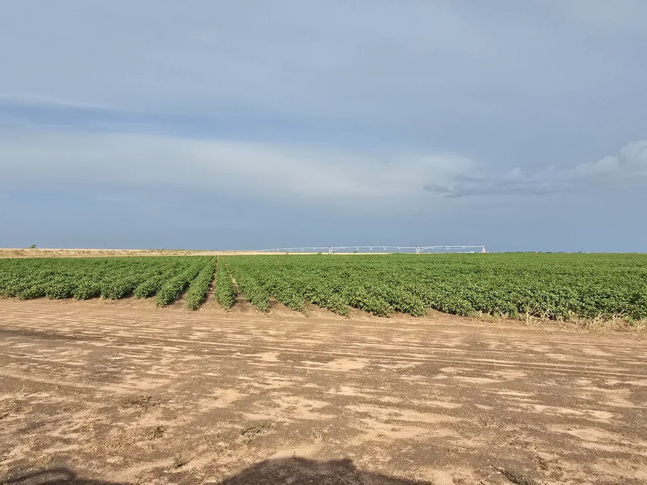 Photo 6 — County Road 218, Seminole, TX 79360