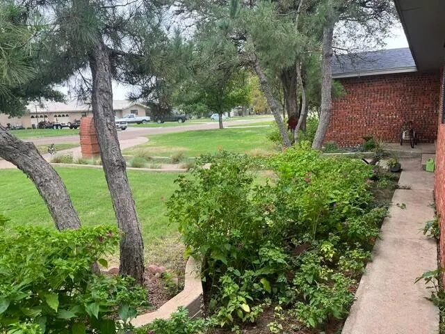 Photo 42 — 1213 Dallas Street, Plainview, TX 79072