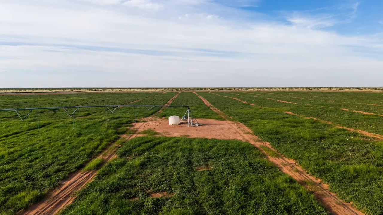 Photo 3 — County Road 330, Seminole, TX 79360