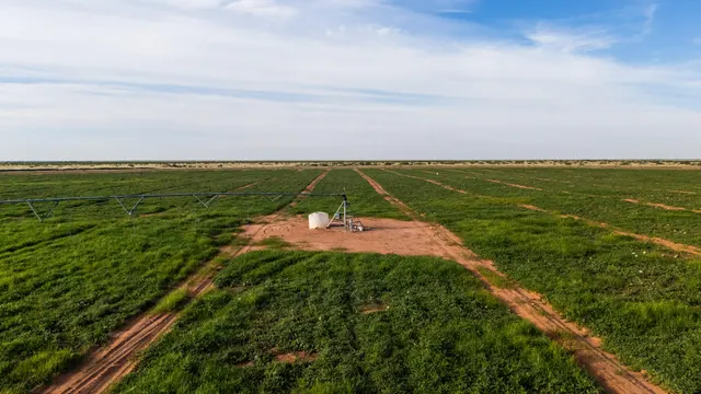 Photo 3 — County Road 330, Seminole, TX 79360