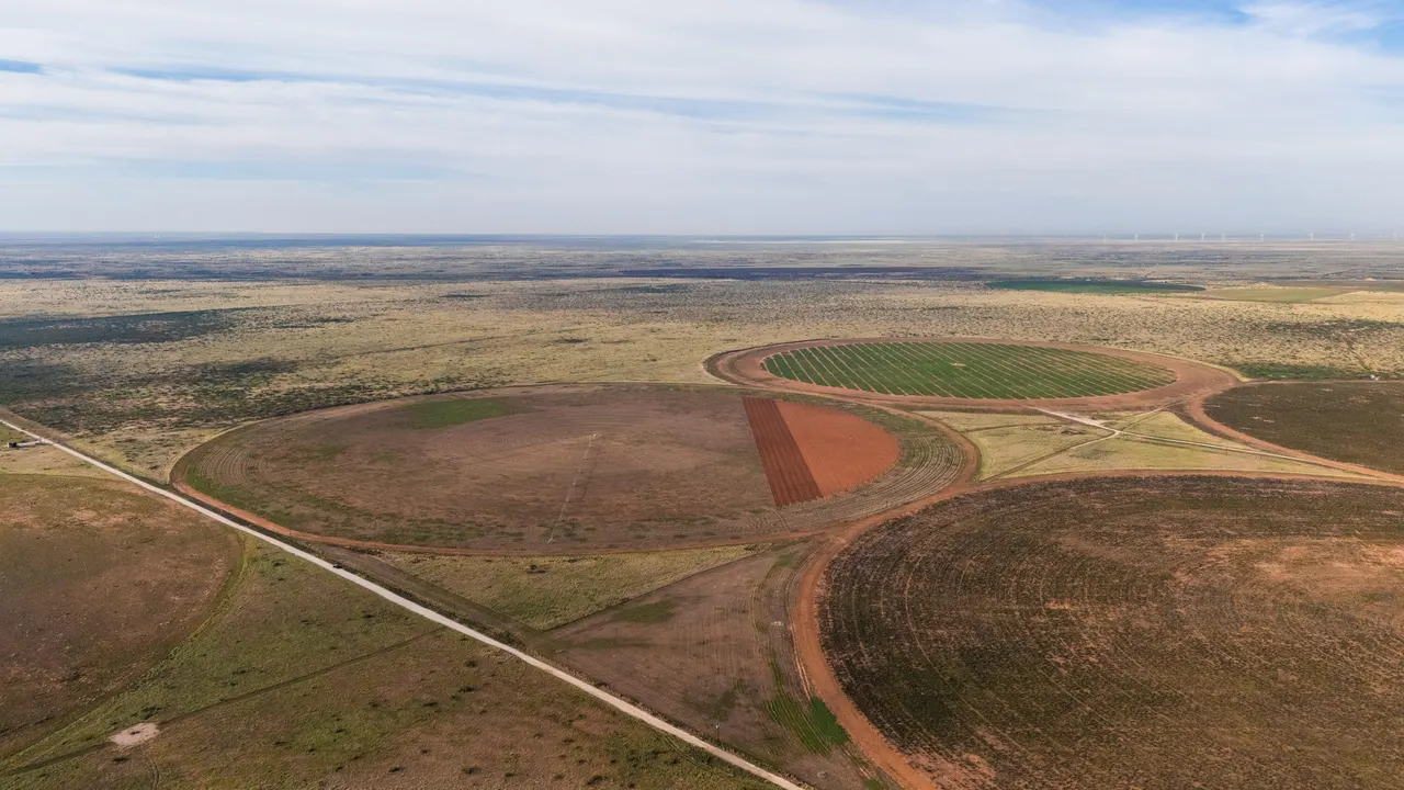 Photo 6 — County Road 330, Seminole, TX 79360